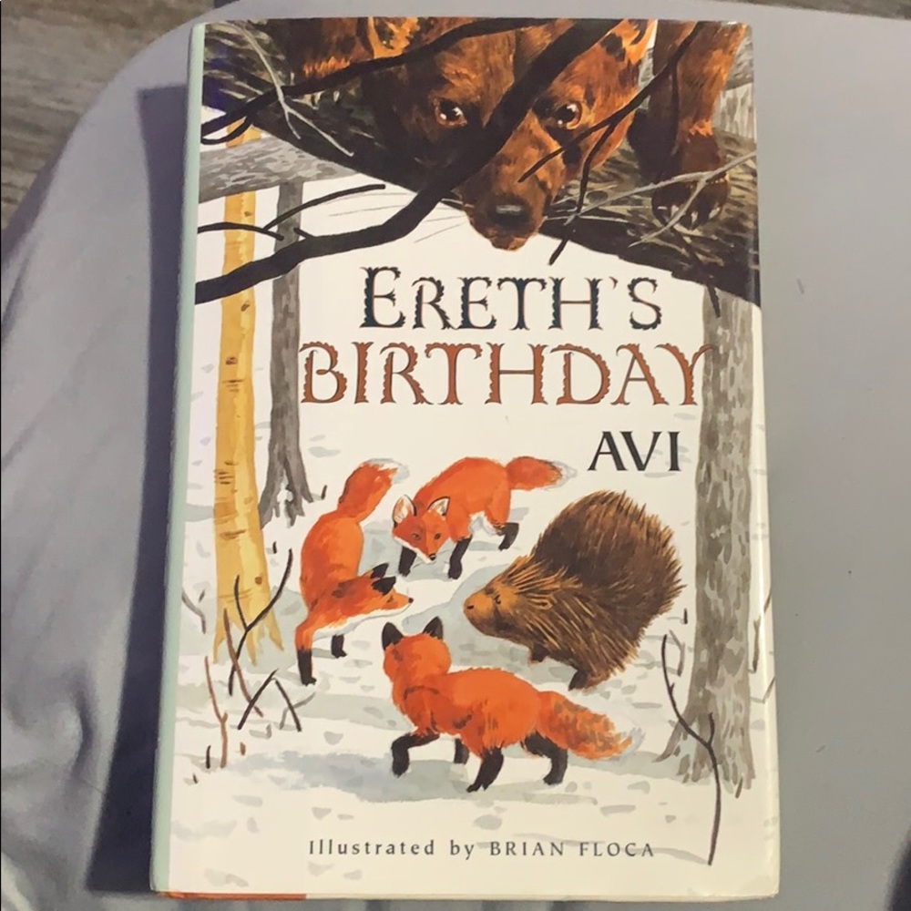Ereth’s Birthday by avi/ floca